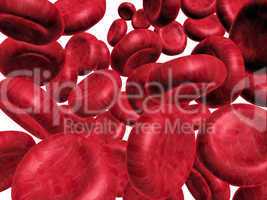 Blood cells.