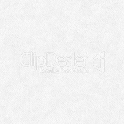 White paper seamless background.