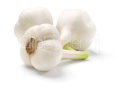 Garlic.