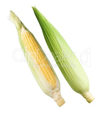 Corn.