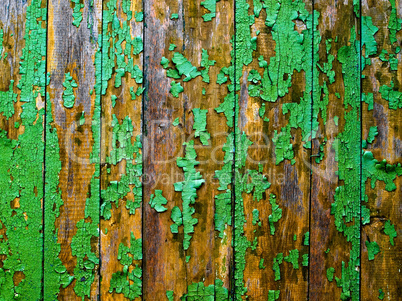 Green fence.