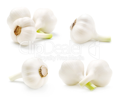 Garlic set.