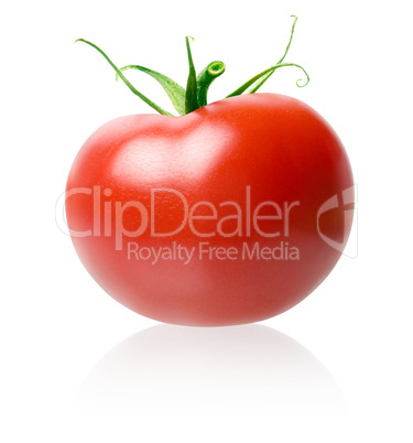 Tomato.