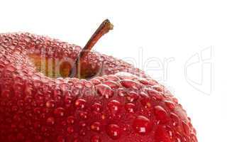 Red wet apple.