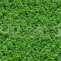 Seamless green grass pattern.