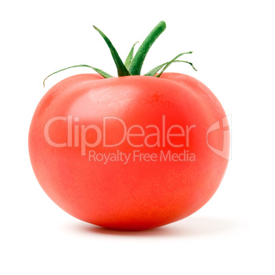 Tomato.