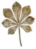 Bronze chestnut leaf.