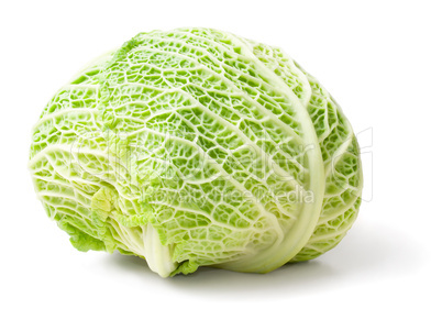 Cabbage.