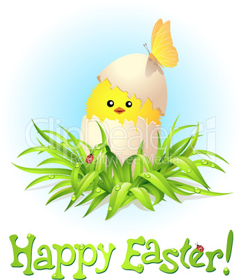 Happy Easter card with chicken on green grass.eps