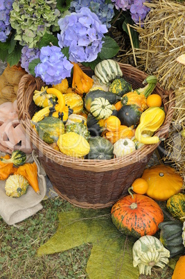 Herbstliches Stillleben