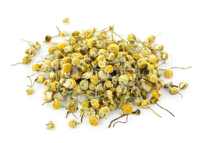 Medicinal chamomile herbs