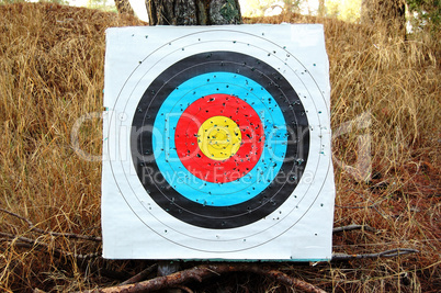 colorful shooting target
