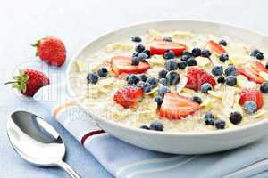 Bowl of oatmeal with berries