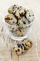 Quail eggs