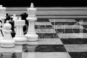 lifesize chess