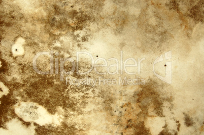 mold texture