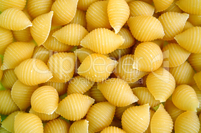 shells pasta