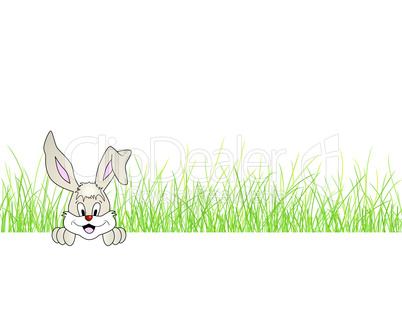 Hase im Gras - Easter bunny in the grass