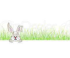 Hase im Gras - Easter bunny in the grass