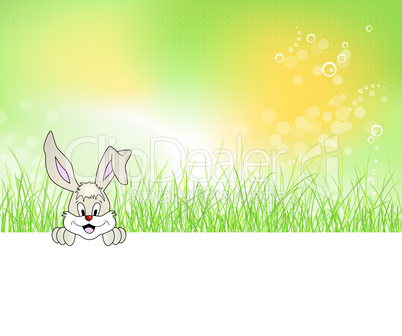 Hase im Gras mit Frühlingshintergrund - Easter bunny in the grass with spring background