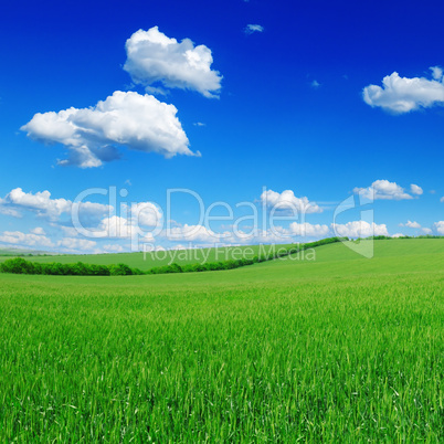 field field