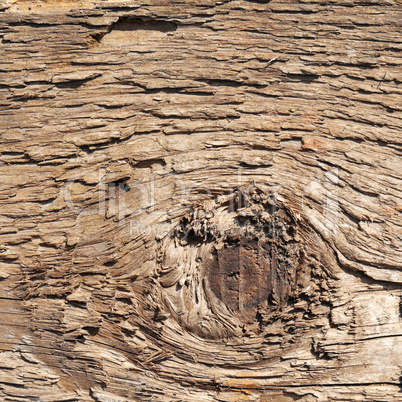 Wooden texture