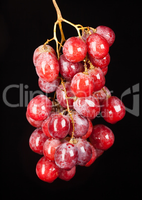 grapes