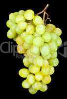 grapes