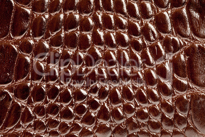 crocodile leather texture