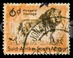 african lion stamp