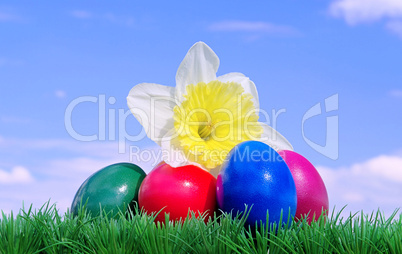 Ostereier auf Blumenwiese mit Himmel - easter eggs on flower meadow and sky 08