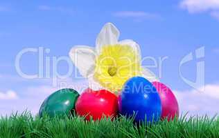 Ostereier auf Blumenwiese mit Himmel - easter eggs on flower meadow and sky 08