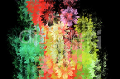 colorful floral pattern