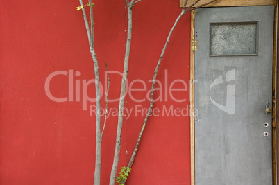 door and tree branches