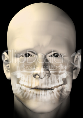 male figure dental scan