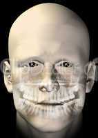 male figure dental scan