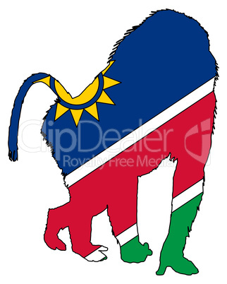 Pavian Namibia