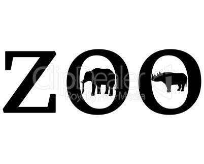 Zoo Tiere