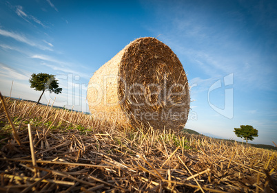 Hay Bale on the late Afternoon