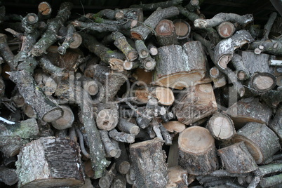 Holzschuppen