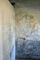moldy wall texture
