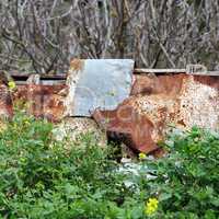 rusty flowers