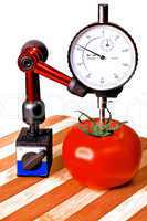 precision  tomato