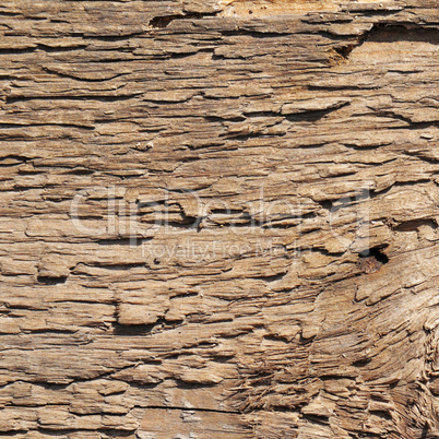 Wooden texture