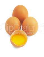 eggs