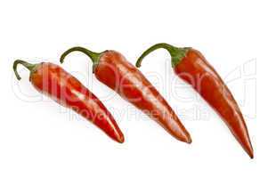 Three red hot pepper