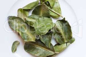 Dried Kaffir Lime Leaves (Citrus hystrix)