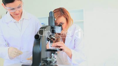 Zwei Frauen arbeiten im Labor mit einem Mikroskop
