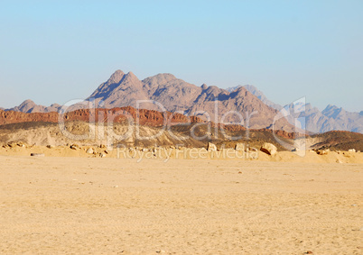 Desert landscape