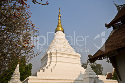 Wat Phra Kaeo Don Tao